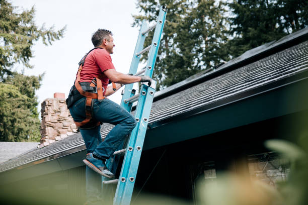 Roof Insulation in Kingstown, MD